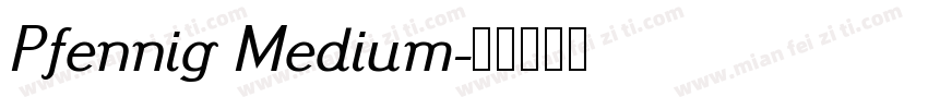 Pfennig Medium字体转换